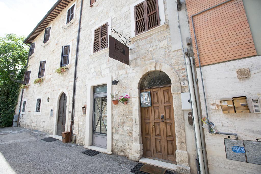 B&B Rosaspina Ascoli Piceno Exteriér fotografie